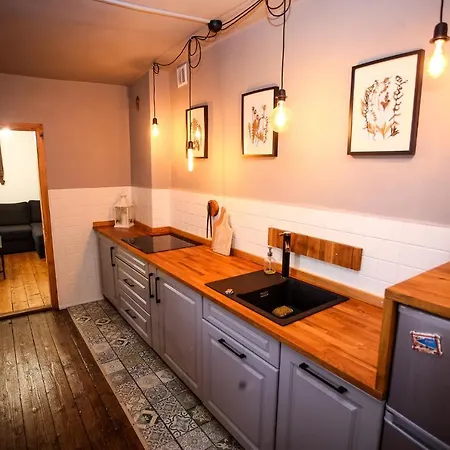 别墅 1950wisla Dom W Gorach *