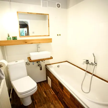 别墅 1950wisla Dom W Gorach