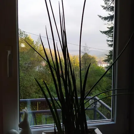 1950wisla Dom W Gorach *