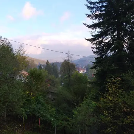 Βίλα 1950wisla Dom W Gorach *