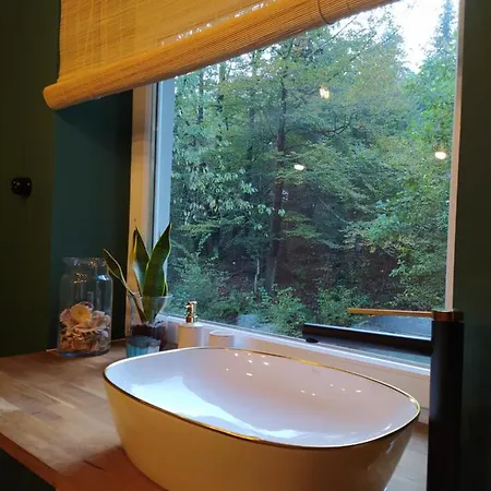 别墅 1950wisla Dom W Gorach *