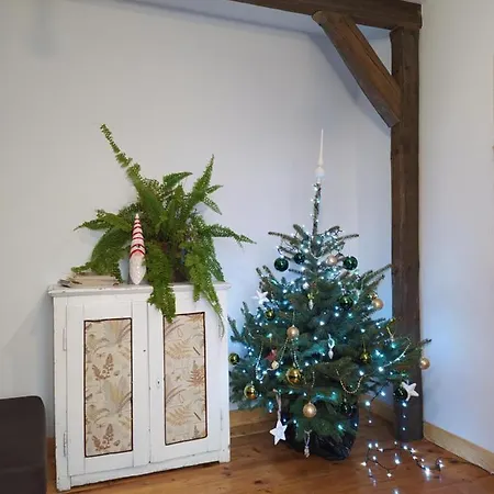 빌라 1950wisla Dom W Gorach *