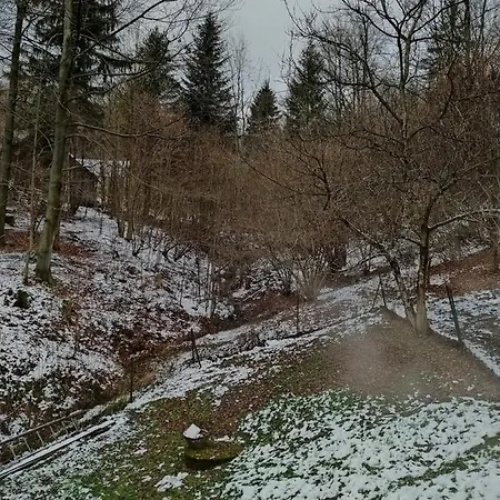 别墅 1950wisla Dom W Gorach *