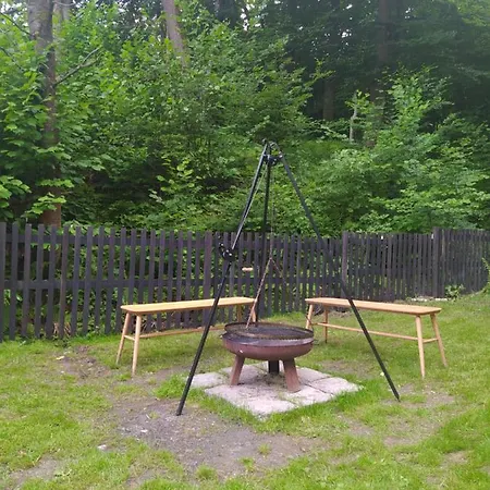 1950wisla Dom W Gorach 别墅 *