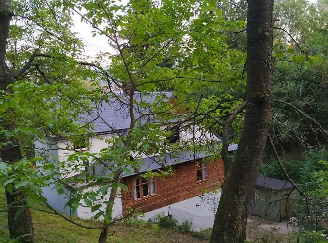 1950wisla Dom W Górach Willa *