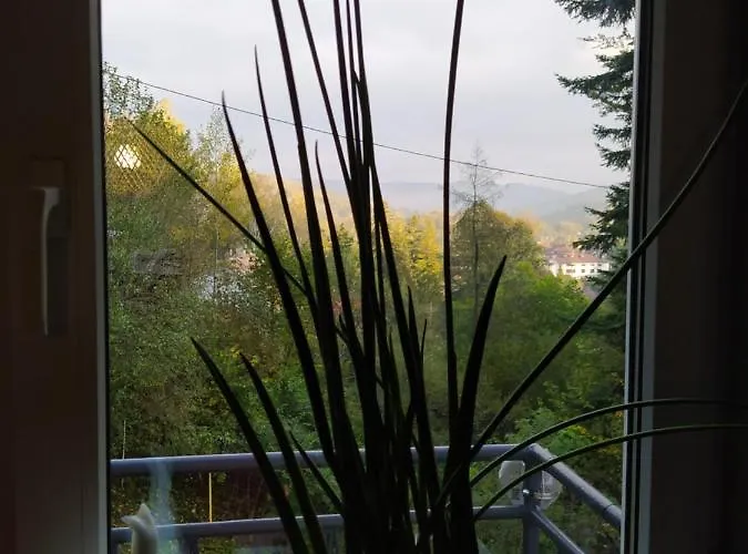 1950wisla Dom W Gorach *