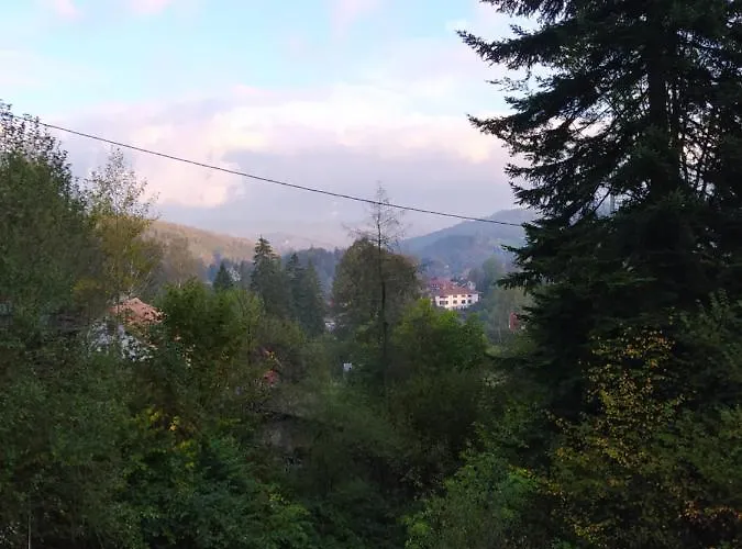 Willa 1950wisla Dom W Górach *