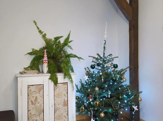 Willa 1950wisla Dom W Górach *