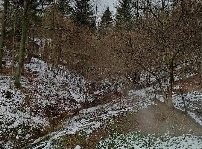 Willa 1950wisla Dom W Górach *